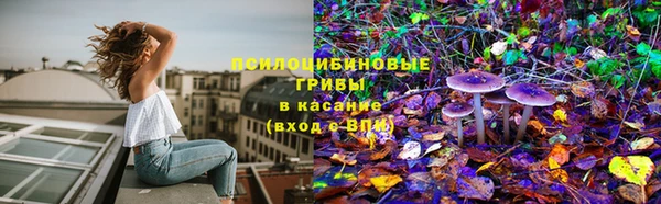 ешки Алзамай