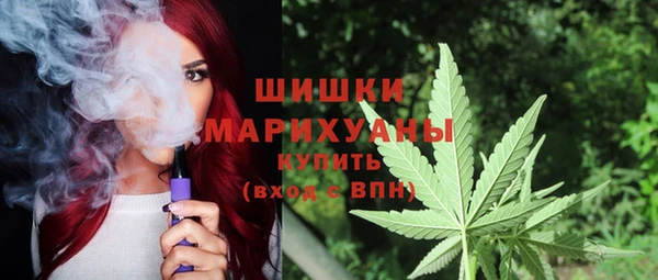 ешки Алзамай