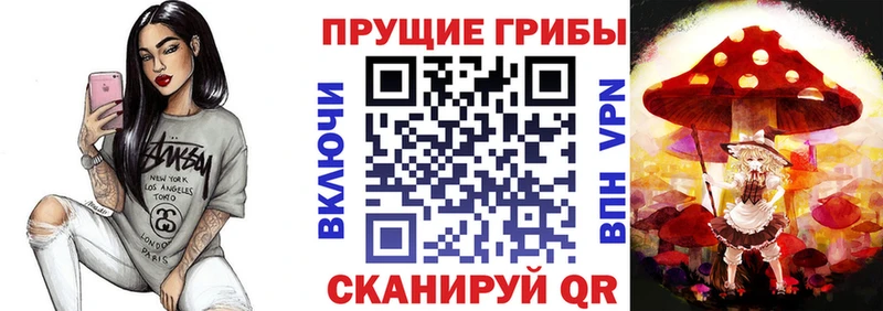Галлюциногенные грибы Cubensis ОМГ ОМГ как зайти Нарьян-Мар
